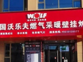 壁挂炉长期停用的注意事项（壁挂炉长时间停用应注意的问题和解决方法）