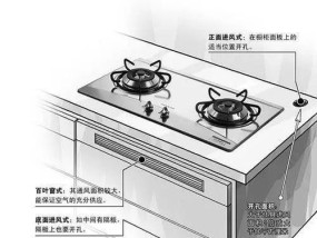如何处理在燃气灶下的老鼠问题（有效解决燃气灶下老鼠滋扰的方法）