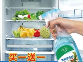 冰箱除味剂的放置位置（如何选择适合的放置位置来除去冰箱异味）