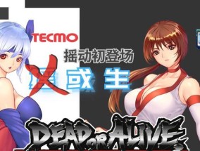 模拟器怎么玩死或生？游戏设置有哪些？