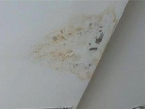 中央空调室内滴水的原因及解决方法（揭秘中央空调滴水背后的秘密）
