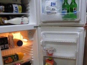 夏天冰箱的温度调节方法（合理设定冰箱温度）