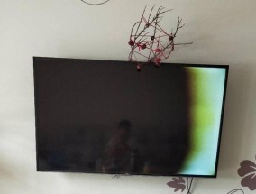 液晶电视黑屏原因及解决办法（详解液晶电视黑屏问题产生的原因和常见解决办法）