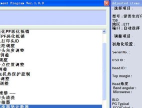 复印机出现PF故障的原因及解决方法（解析复印机故障PF）
