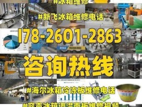 新飞冰箱出现E2故障的原因及解决方法（详细介绍新飞冰箱E2故障的原因以及针对不同情况的解决方法）