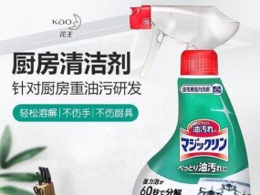 日本花钱清洗油烟机的高效与实用（优质清洁服务为家居环境保驾护航）