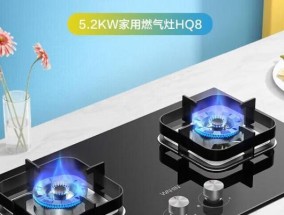 燃气灶驱除虫子的有效方法（厨房清洁保持与环境改善的关键）