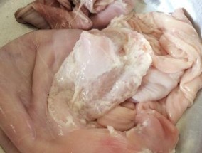如何清洗油烟机上的猪肚（清洗油烟机猪肚的步骤和技巧）