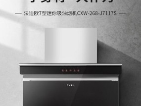 法迪欧油烟机清洗指南（轻松清洁）