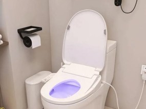 如何使马桶更省水（简单实用的节水方法）