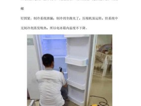 冰箱不通电的原因及解决方法（常见的冰箱不通电原因及如何应对）