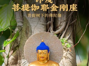 释迦放冰箱的正确方法及注意事项（保鲜效果更好）