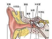 热水器出现回音是什么原因？如何快速解决？
