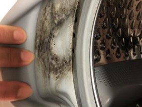 洗衣机橡胶圈发霉的处理方法（一招解决洗衣机橡胶圈发霉问题）