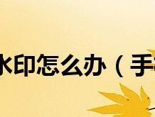 电脑屏幕进水有水印怎么办（水印问题的解决方法）