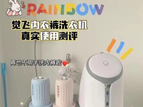 懒人必备（轻松解决洗衣机清洗难题）