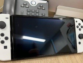 彩色显示器不亮了怎么办（解决彩色显示器不亮的常见问题及方法）