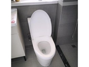 法恩莎马桶按钮故障维修指南（如何解决法恩莎马桶按钮故障及常见维修方法）