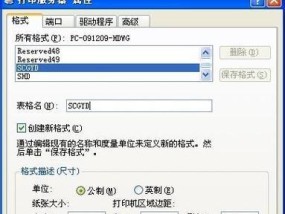 以专票打印机为主题的设置与应用指南（如何正确设置专票打印机并实现高效应用）