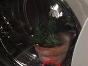 洗衣机出现黑色虫子是什么原因？如何彻底清除？