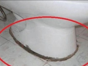 如何修理漏水的马桶底部（简易步骤教你解决马桶底部漏水问题）