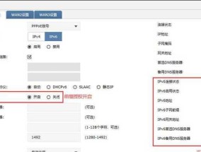 分享的IPv6DNS服务器——提供更快、更安全的互联网访问体验（IPv6DNS服务器选择指南）