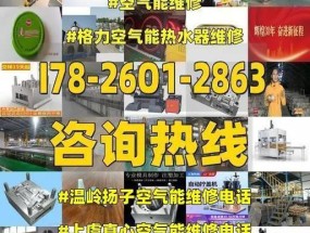 扬子天然气热水器安装指南（详细介绍扬子天然气热水器的安装方法）