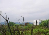 建水哪里可以修理手机电池？