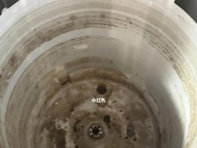如何正确清洗洗衣机外壁（教你轻松保持洗衣机外壁清洁亮丽）