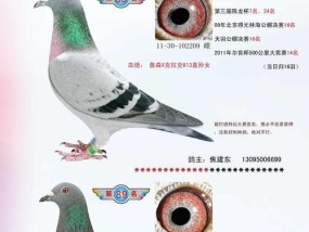 赛鸽007充电器选择标准是什么？