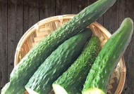 黄瓜冰柜储存方法是什么？如何延长黄瓜的新鲜度？