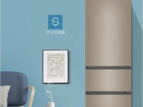 突破常规，双门冰箱门不在一平面（创新设计将冰箱门提升到新高度）
