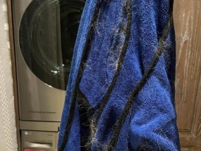 洗衣机衣服缠住解决方法（遇到洗衣机衣服缠住的急救措施及预防方法）