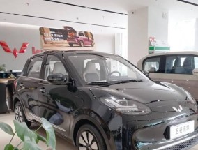 缤果前排充电器的标准电压是多少？