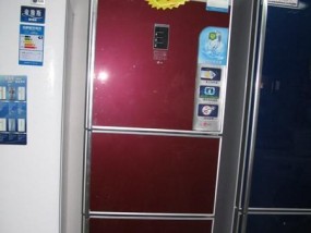 电冰柜不进电的原因及解决方法（保证电冰柜正常运行的关键）
