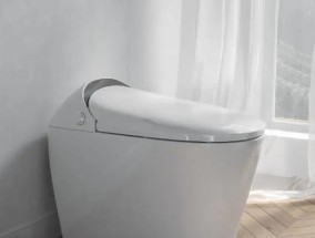 箭牌马桶冲水按钮故障维修指南（解决您家马桶冲水按钮故障的有效方法）