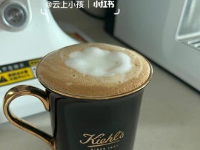 纯咖啡机维修方法大揭秘（快速解决咖啡机故障的关键技巧）