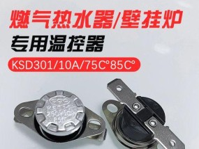 樱雪壁挂炉显示F20故障分析及解决方法（了解F20故障原因）