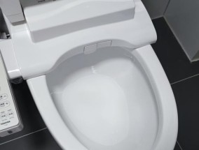 马桶水满了还在放水的原因及解决办法（探究马桶放水的机制与常见问题分析）