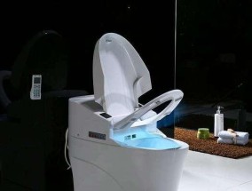 马桶进水管漏水原因及解决方法（揭秘马桶漏水背后的原因）