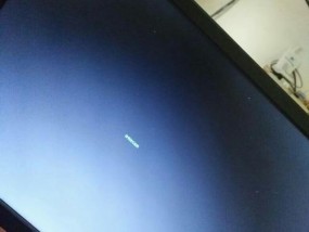 电源显示器不亮的原因及解决方法（解决显示器不亮的常见问题与技巧）