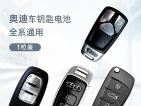 如何正确清洗奥迪热水器，保持高效运行（一步步教你清洗奥迪热水器）