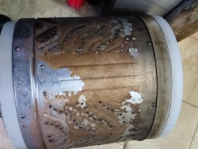 盘龙区洗衣机清洗方法大揭秘（掌握盘龙区洗衣机清洗技巧）