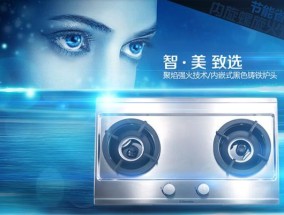 伊莱克斯燃气灶故障及维修指南（解决您的伊莱克斯燃气灶问题）