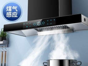 家用抽油烟机不排烟问题解决方案（如何有效解决家用抽油烟机不排烟问题）