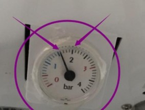 壁挂炉开关的修理技巧（掌握壁挂炉开关的故障排除方法）