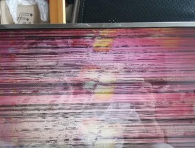解决投影仪出现雪花闪屏问题的有效方法（消除投影仪雪花闪屏现象）