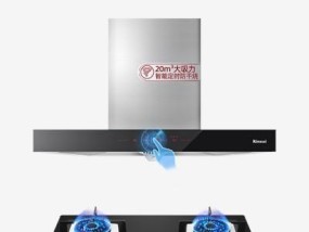 如何正确清洗新式林内油烟机（清洗步骤详解）