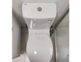 为什么美标马桶有两个按钮（解析双按钮设计及处理按钮无反应问题）