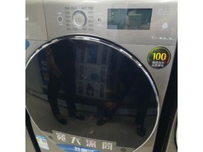 解决洗衣机F8故障的有效方法（快速排除洗衣机F8故障）